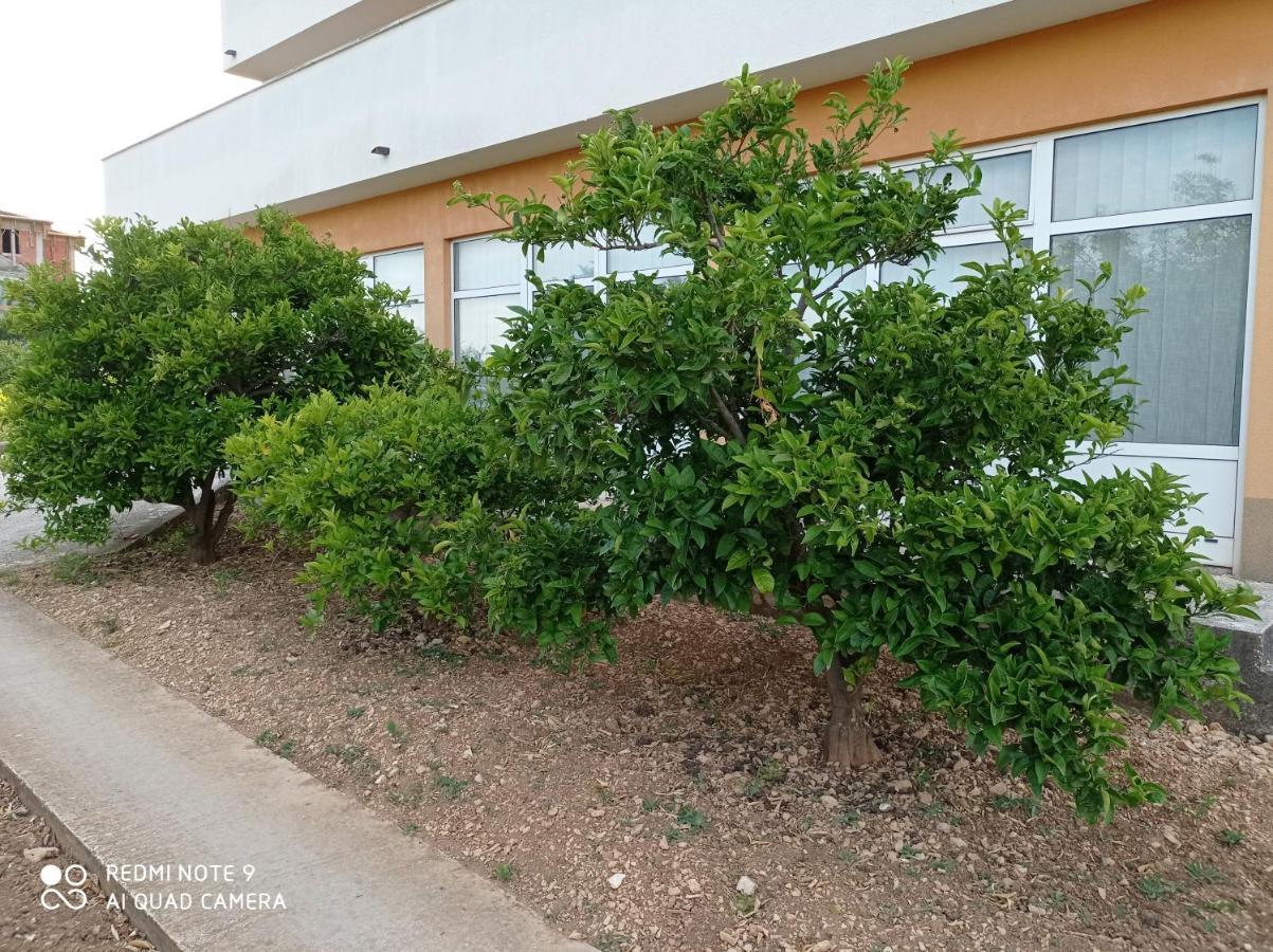 Apartmani Barisic Trogir Ngoại thất bức ảnh