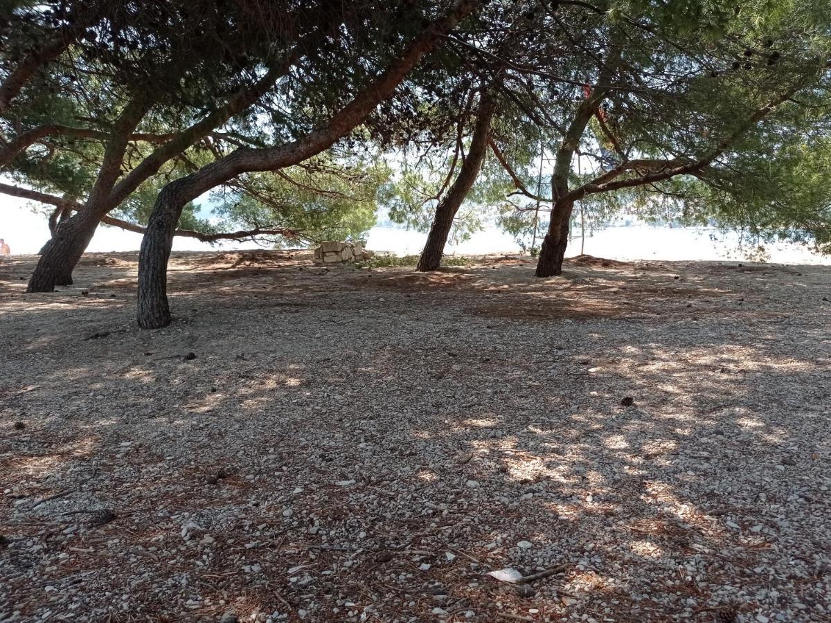 Apartmani Barisic Trogir Ngoại thất bức ảnh